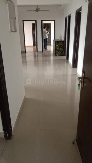 Sector 41 Main Image 1