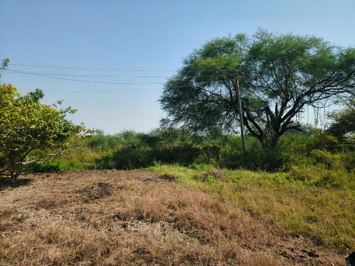 Ekvira Vidyut Colony Main Image 1