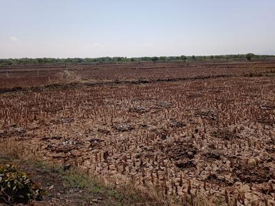 Image of 1089 Sq.ft Residential Plot / Land for sale in Koproli, Navi Mumbai for Rs. 444000
