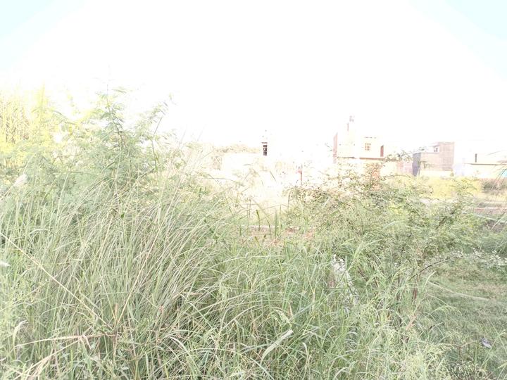 Residential 450 Sqft Plot for sale at Burari, New Delhi Property ID