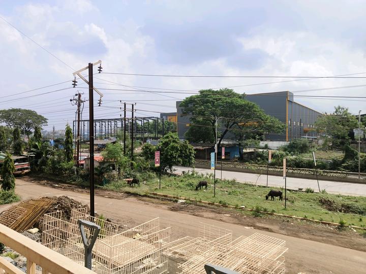 Precious Icon Main Image 1