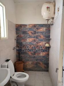Bathroom Image of 680 Sq.ft 1 BHK Apartment / Flat for rent in SBP City of Dreams 1, Sector 116 Mohali for Rs. 16000