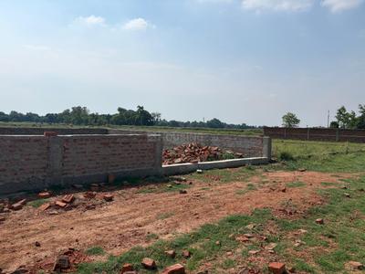 NP CONSTRUCTION Plot View 2