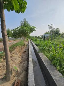 Image of 1350 Sq.ft Residential Plot / Land for sale in Bharthia, Vrindavan for Rs. 2700000