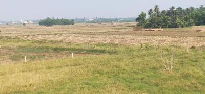 Image of 1300 Sq.ft Residential Plot / Land for sale in Atharanala, Puri for Rs. 1300000