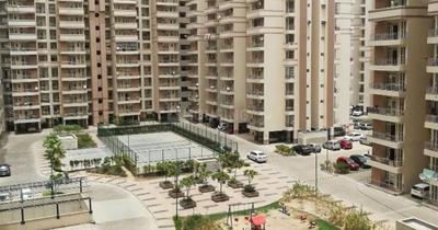 Image of YS Stay Hub (Boys PG Sector 137) in Sector 137, Kulesara