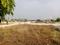 Shewalewadi Plot View 2
