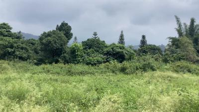 Image of 980 Sq.ft Residential Plot / Land for sale in Dhaulas, Dehradun for Rs. 1800000