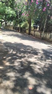 Doctors Colony Plot View 3