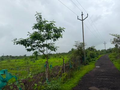 Image of 43560 Sq.ft Residential Plot / Land for sale in Murbad, Thane for Rs. 5500000