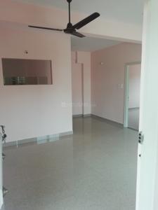 Hall Image of 1050 Sq.ft 2 BHK Apartment / Flat for rent in Ramakrishnanagar Mysore for Rs. 19000