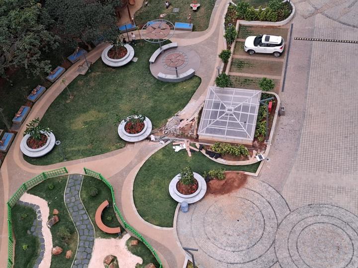 Disha Pursuit Of Sunshine Main Image 1