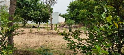 Image of 12000 Sq.ft Residential Plot / Land for sale in Injambakkam, Chennai for Rs. 175000000