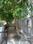 Mukherjee Nagar Main Image 1