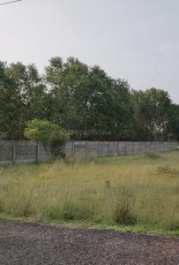 Thiruporur Plot View 3