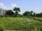 DLF Cyber City, DLF Phase 2 Plot View 2