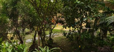 Image of 1440 Sq.ft 3 BHK Apartment / Flat for sale in Nature's Nest, Jadavpur, Kolkata for Rs. 12500000