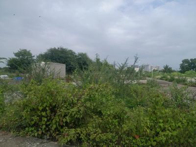 Image of 2690 Sq.ft Residential Plot / Land for sale in Ghotawade, Pune for Rs. 5350099