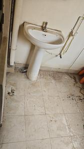 Image of 1250 Sq.ft 2 BHK Apartment / Flat for rent in Kondapur, Hyderabad for Rs. 43000