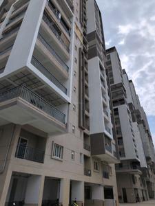 3 BHK Apartment