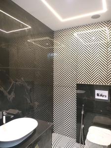 Common Bathroom Image of 4500 Sq.ft 4 BHK Builder Floor for sale in TDI The Retreat, Sector 89 Faridabad for Rs. 42500000