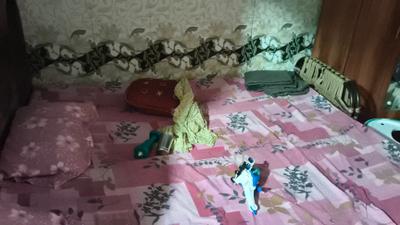 Bedroom Image of 400 Sq.ft 2 BHK Independent House for sale in Sector 26 East Chandigarh for Rs. 5500000