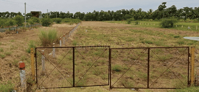 Image of 2278 Sq.ft Residential Plot / Land for sale in Kovil Pappakudi, Madurai for Rs. 3800000