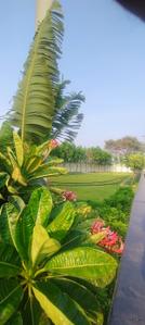 Image of 1500 Sq.ft Residential Plot / Land for sale in Bhilai Marshalling Yard, Charoda for Rs. 2550000