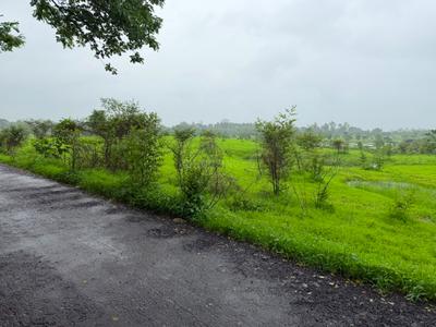 Image of 32670 Sq.ft Residential Plot / Land for sale in Murbad, Thane for Rs. 5075000