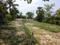 Golden city 2 Plot View 2