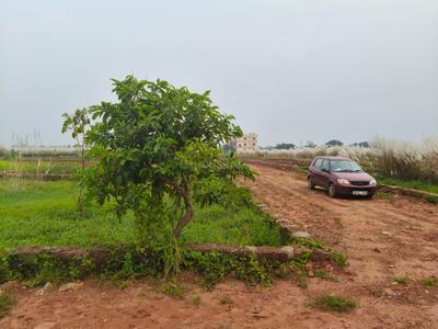 Image of 2000 Sq.ft Residential Plot / Land for sale in Kairi, Bhubaneswar for Rs. 6600000
