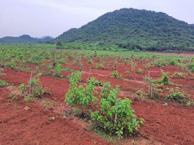 Image of 100 Sq.ft Residential Plot / Land for sale in Kothavalasa, Visakhapatnam for Rs. 600000