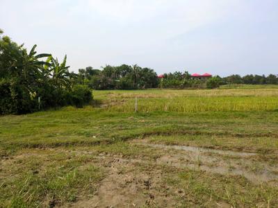 Golden city 2 Plot View 1