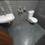 Gulab nagar Bathroom 1