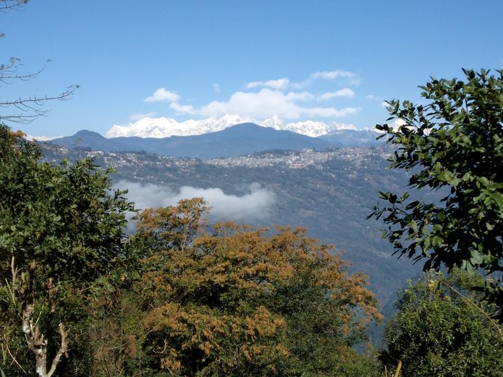 Residential 11310 Sqft Plot for sale at Kalimpong Khasmahal, kalimpong