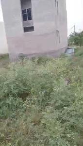 Image of 810 Sq.ft Residential Plot / Land for sale in Bhago Majra, Mohali for Rs. 3870000