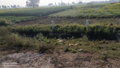 Sampatchak Plot View 3