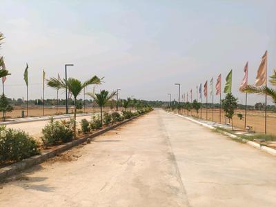 Century Nature City Internal Roads 2