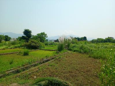 Image of 900 Sq.ft Residential Plot / Land for sale in Lakkad Ghat, Rishikesh for Rs. 2500000