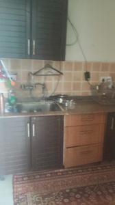 Kitchen Image of 1130 Sq.ft 2 BHK Apartment / Flat for rent in Amrapali Eden Park, Sector 50 Noida for Rs. 32000