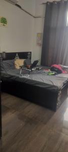 Bedroom Image of 300 Sq.ft 1 BHK Builder Floor for rent in Sector 46 Gurgaon for Rs. 30000