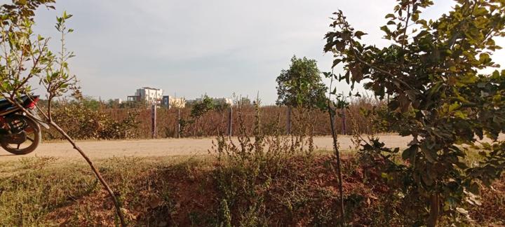 Shadnagar Main Image 1