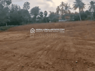 Image of 13068 Sq.ft Residential Plot / Land for sale in Ottapalam, Palakkad for Rs. 6000000
