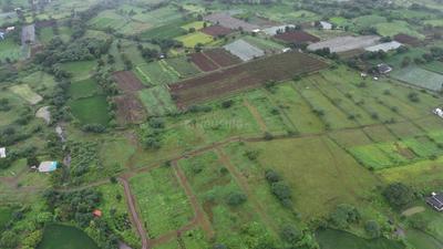 Pimplad Plot View 3