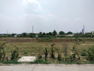 Amolik Aster Woods Plot View 1