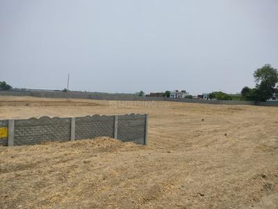 Image of 1520 Sq.ft Residential Plot / Land for sale in Rajgir, Nalanda for Rs. 1138540