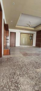 Hall Image of 6000 Sq.ft 7 BHK Independent House for rent in Sector 52 Noida for Rs. 250000