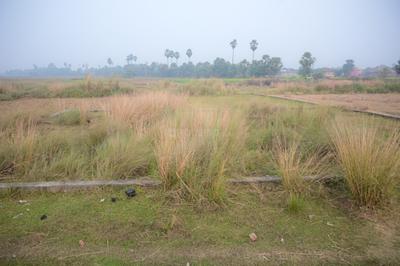Image of 1200 Sq.ft Residential Plot / Land for sale in Ganawan, Patna for Rs. 3000000