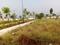 Loni Kalbhor Plot View 2