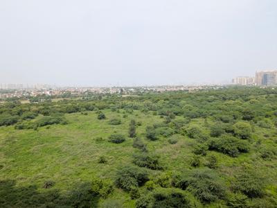 Balcony Image of 920 Sq.ft 2 BHK Apartment / Flat for rent in Amrapali Dream Valley 2, Noida Extension Greater Noida for Rs. 20000